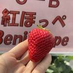 姫路ハートフル観光農園 - 