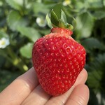 姫路ハートフル観光農園 - 