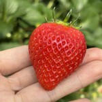 姫路ハートフル観光農園 - 