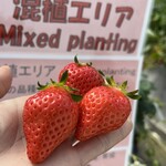 姫路ハートフル観光農園 - 