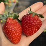 姫路ハートフル観光農園 - 