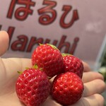 姫路ハートフル観光農園 - 