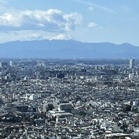 天冨良 麻布よこ田 恵比寿ガーデンプレイス店 - 恵比寿ガーデンプレイス38階