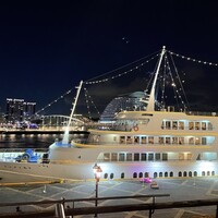 THE KOBECRUISE コンチェルト - 乗船前花火が奥で上がってました。