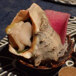 おのみち帆聲 - 