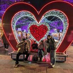 北キツネの大好物 - 