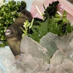 海幸楽膳 釜つる - 