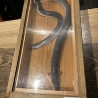 にょろ助 銀座 - 