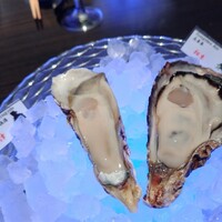 MAIMON GINZA - 