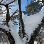 プチホテル・フットルース - 五色沼（毘沙門沼）