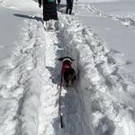 プチホテル・フットルース - 五色沼への道