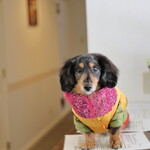 プチホテル・フットルース - 寒いから３枚重ね着