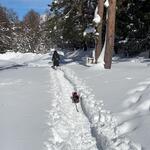 プチホテル・フットルース - 五色沼への道