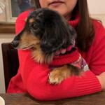 プチホテル・フットルース - 