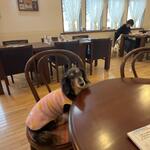 プチホテル・フットルース - 