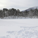 プチホテル・フットルース - 秘密の沼