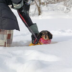 プチホテル・フットルース - 秘密の沼
