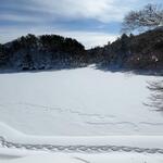 プチホテル・フットルース - 五色沼（毘沙門沼）