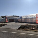 みえの森苺園 - 