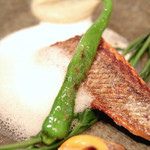 ラ クープ ドール - 青唐辛子 '14 6月中旬