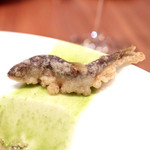 ラ クープ ドール - 稚鮎のフリット '14 6月中旬