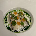 ジョンティ アッシュ - 