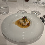 ジョンティ アッシュ - 