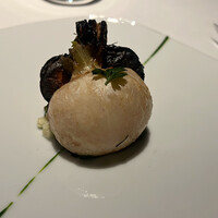 レフェルヴェソンス - 