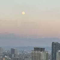 ニュー松坂 梅田32番街店 - 