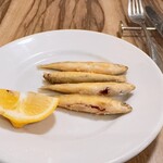 ボッカ・デル・ヴィーノ - 