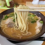 特製ラーメン 元祖 京都 第一旭 - 味噌ラーメン並の麺