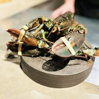 PLEIN 銀座本店 - 