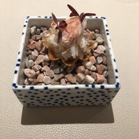 L'ETERRE - 