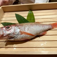 のどぐろ専門 銀座中俣 極 - 