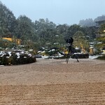 曲水の庭 ホテル玉泉 - ホテル自慢のお庭