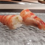 Sushi Dining Kugi - ⑭握り：くるま海老