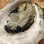 あこや - 生牡蠣も！