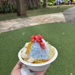 Island Vintage Shave Ice - 