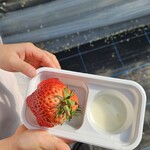 江間いちご狩りセンター - 料理写真: