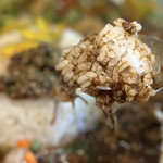 BOTANI：CURRY 梅田店 - 