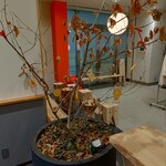 イヌワシストア - 店内にコナラが植えてある