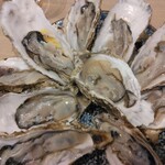 かきのおきて 神田店 - 