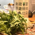 横浜紅葉坂日本酒 ふじひら - 【五将】石川県羽咋市　遊穂　生酛純米　未確認浮遊酵母仕込。