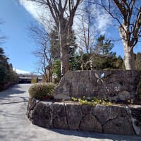 一游 - 