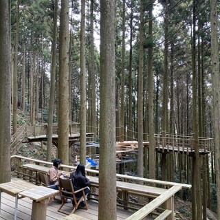 森のカフェ 緑の詩_2