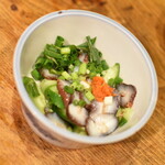 浜貞 - 活赤ナマコ（７５０円）２０２５年２月