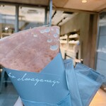 アサコ イワヤナギ プリュス - 