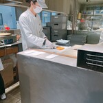 アサコ イワヤナギ プリュス - 