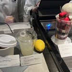 アサコ イワヤナギ プリュス - 