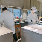 アサコ イワヤナギ プリュス - 